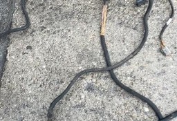 Claas arion instalacja elektryczna GPS Pilot S10