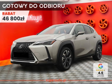 Lexus UX 300h Business Hybrid Dynamic Force 300h Business Hybrid Dynamic Force-1