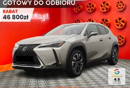 Lexus UX 300h Business Hybrid Dynamic Force 300h Business Hybrid Dynamic Force
