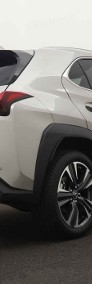 Lexus UX 300h Business Hybrid Dynamic Force 300h Business Hybrid Dynamic Force-4