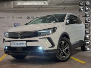 Opel Inny Opel Salon Polska | Pierwszy właściciel