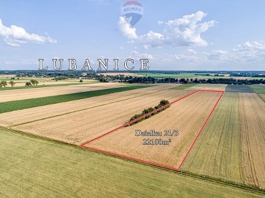Działka rolna o pow. 22.100 m²-1