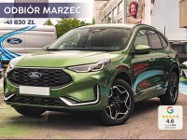 Ford Kuga IV ST-Line X 1.5 EcoBoost ST-Line X 1.5 EcoBoost 186KM / Pakiet Winter