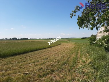 Działka rolna Kiełpiny-1
