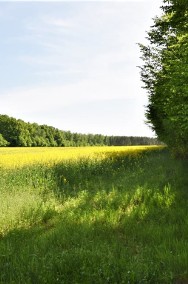 Działka rolna w sąsiedztwie lasów obręb Kamionki-2