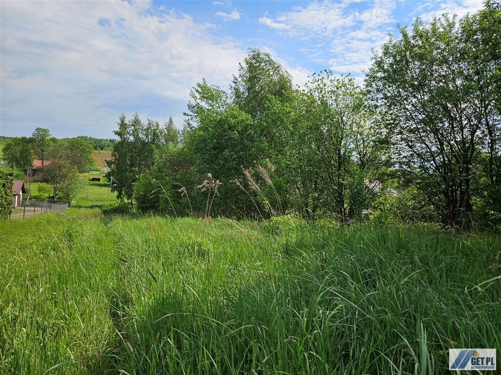 Bodzanów- kształtna, pięknie doświetlona działka. - Widok 2