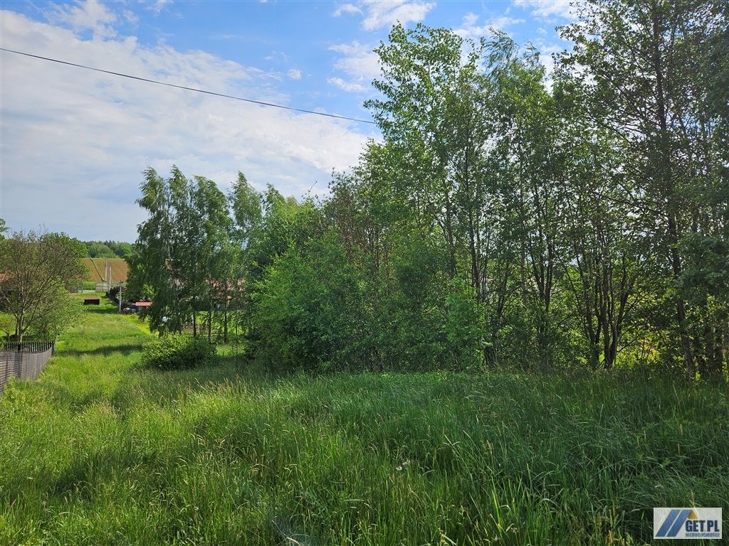Bodzanów- kształtna, pięknie doświetlona działka. - Widok 5