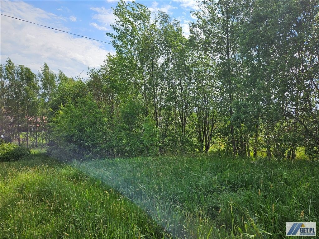 Bodzanów- kształtna, pięknie doświetlona działka. - Widok 6