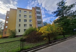 Mieszkanie Łódź Bałuty Zachodnie, ul. Liściasta