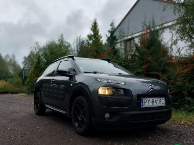 Citroen C4 Cactus I Zadbany-1