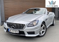 Mercedes-Benz Inny Mercedes-Benz SLK200 AMG Automat W 1 rękach od 9lat! 113.000km!