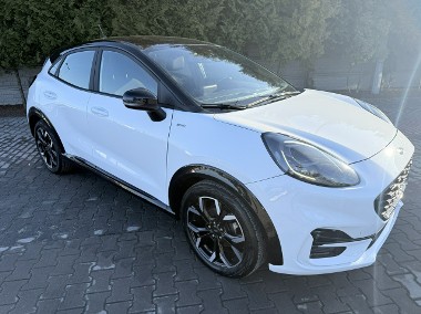 Ford Puma II-1