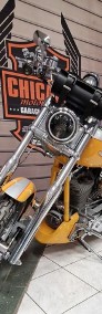 Harley-Davidson Softail-4