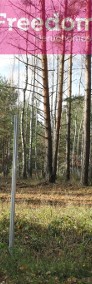 Działka leśna Poddębice-3