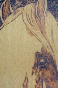 Głowa konia - grafika wypalana na drewnie (na sklejce) 21x30 cm PRL-2