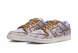 Nike SB DUNK Low Premium Toile / FN5880–001