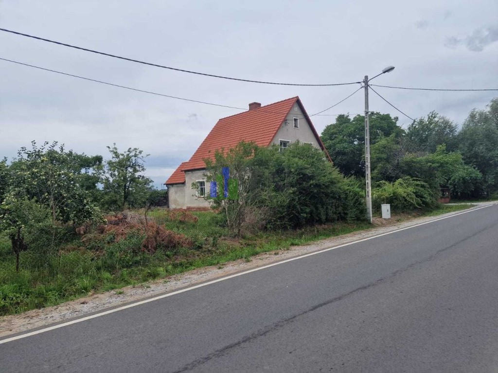 DuŻa DziaŁka | Przy Drodze Asfaltowej - Widok 3