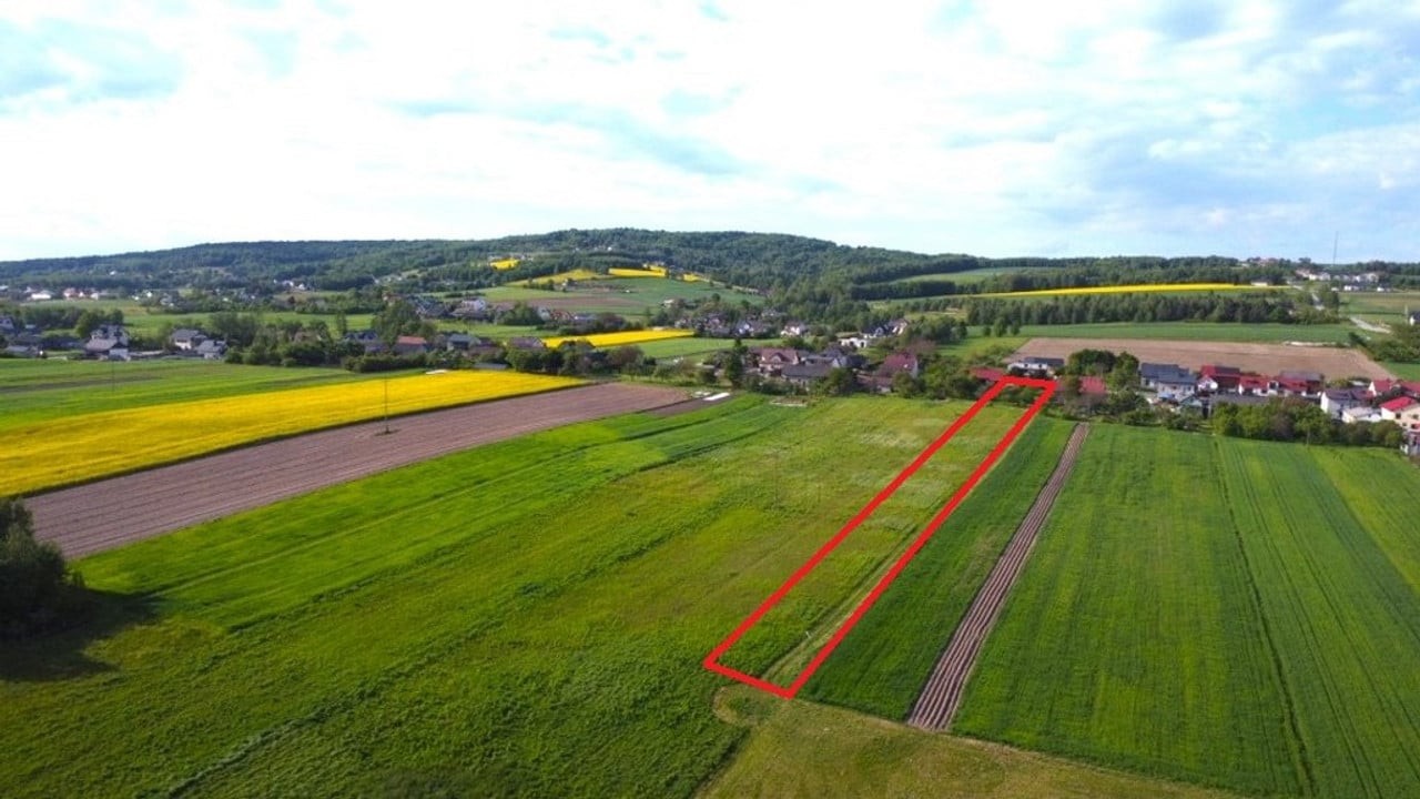 Działka Oblęgór - 4608 m² – pohled 6