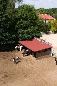 Wyjątkowa posiadłość ze stadniną koni, Michałów, gm. Puszcza Mariańska-2