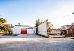 Lokal Leiria, Alcobaça, Benedita