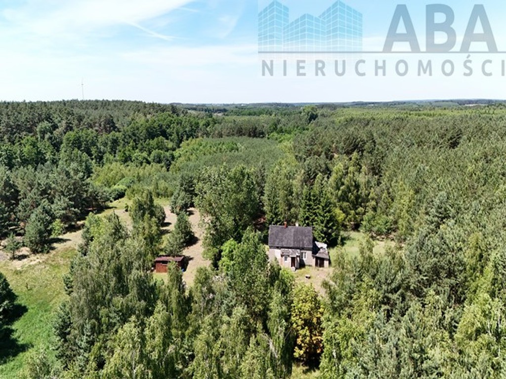 Janowice gm. Sompolno - Urokliwe siedlisko - 7,31 ha