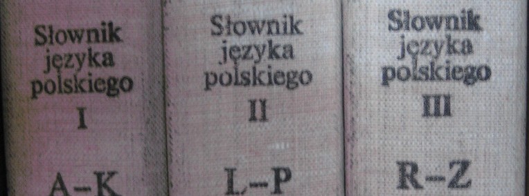 Słownik języka polskiego PWN-1