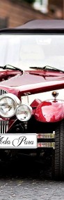 Kabriolet do ślubu Alfa Romeo NESTOR BARON Spider Zabytkowe auta na wesela śluby-4