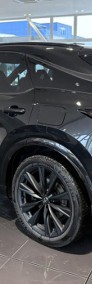 Lexus RX IV 500h F Sport 2.4 Hybrid RX 500h F Sport 2.4 Hybrid | Dach panoramic-3