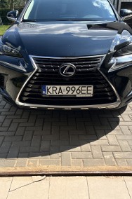 300 Hybryda 4x4, salon Polska, na gwarancji-2