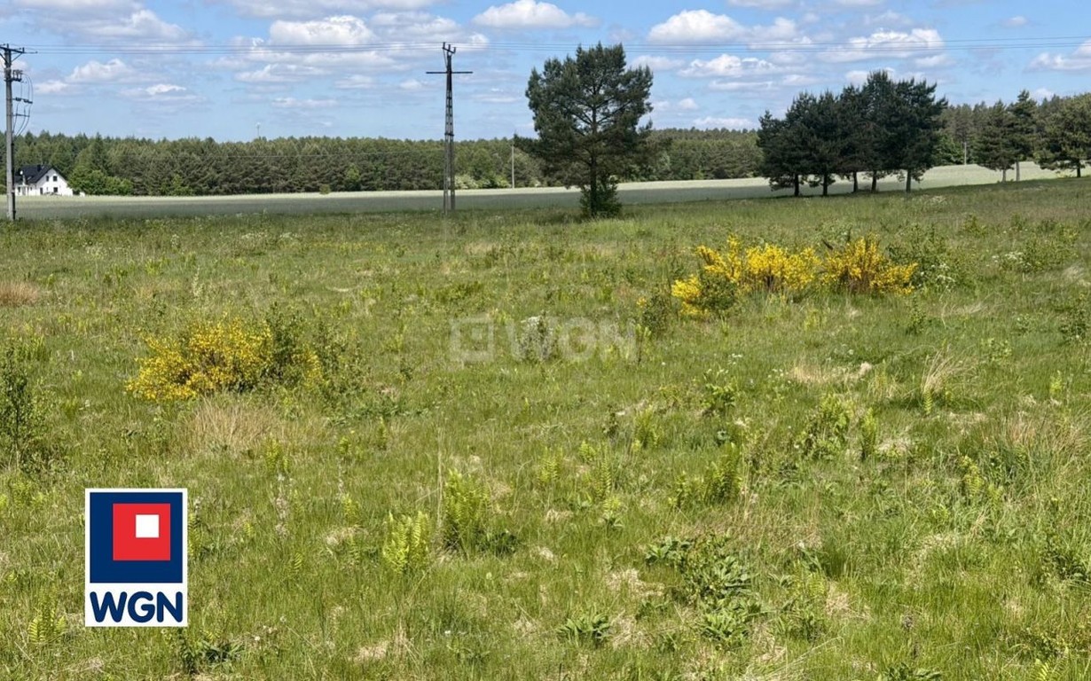 Działka na sprzedaż, 2017 m², Borzytuchom Jutrzenka - Widok 5