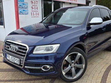 Audi SQ5 I (8R)-1