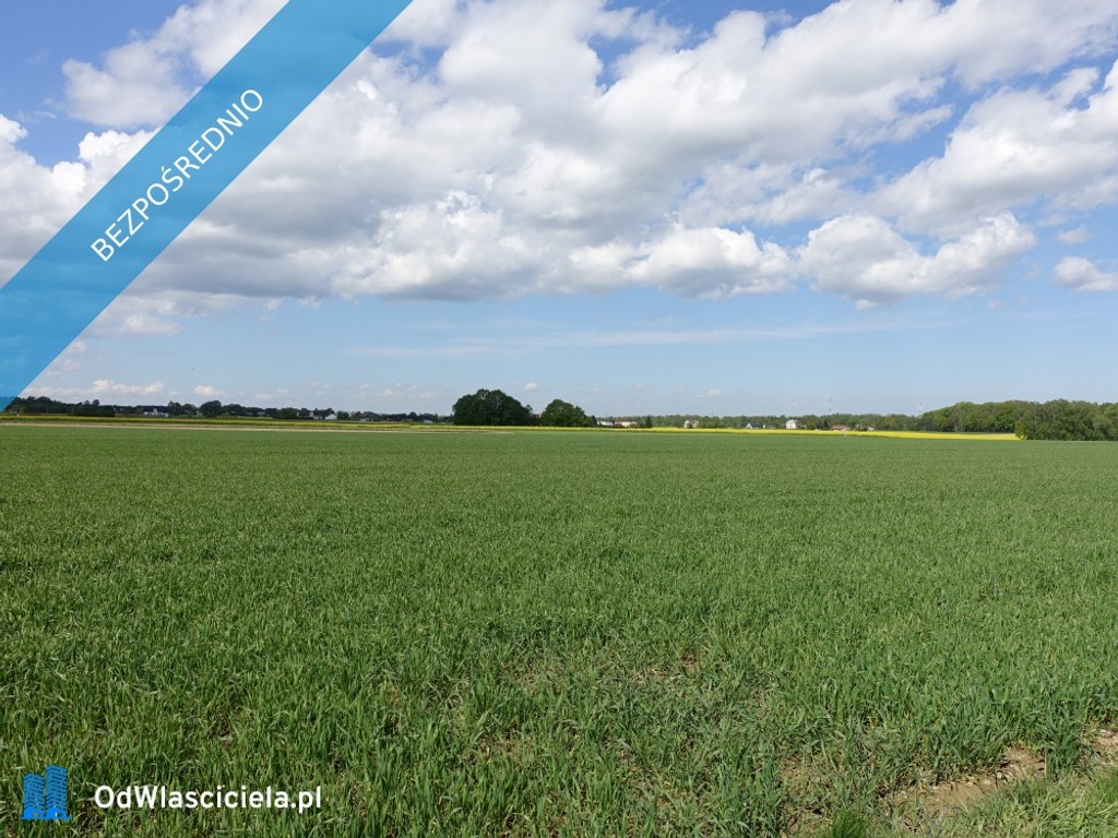 Skoczów Pruchna 1,15ha pod zabudowe jednorodzinną i stadnine - Widok 2