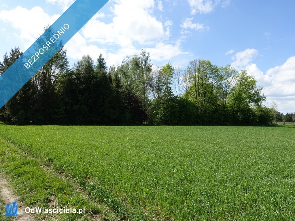 Skoczów Pruchna 1,15ha pod zabudowe jednorodzinną i stadnine - Widok 5