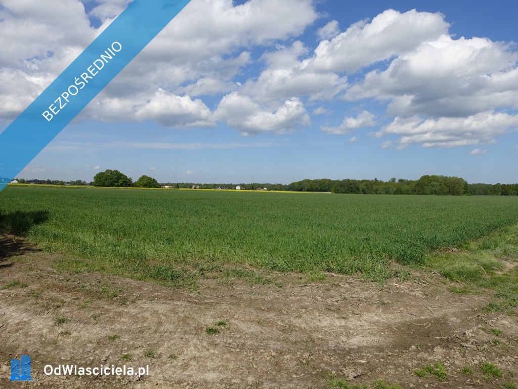 Skoczów Pruchna 1,15ha pod zabudowe jednorodzinną i stadnine - Widok 6