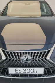 Lexus ES VII 300h Business Edition 2.5 E-CVT 300h Business Edition 2.5 E-CVT 218KM-2