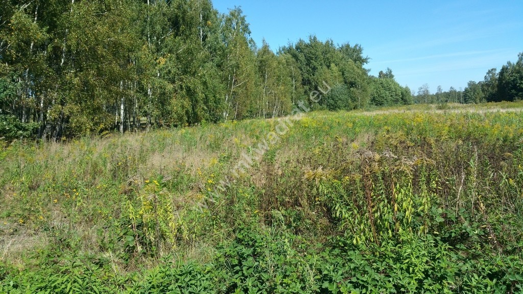 Działka inwestycyjna Budy Michałowskie Gratka.pl Oferta archiwalna