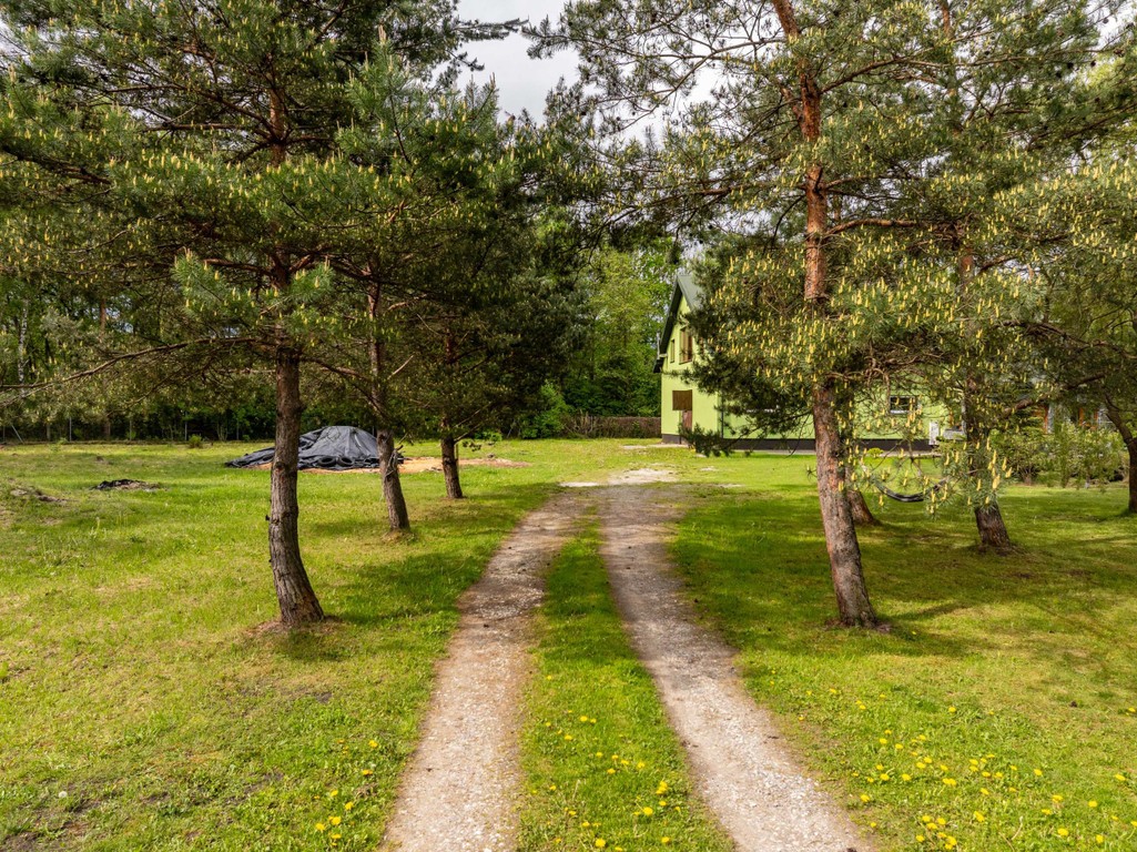Stajnia z częścią mieszkalną 4,5 ha Własny las
