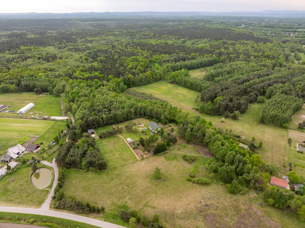 Stajnia z częścią mieszkalną 4,5 ha Własny las - View 2