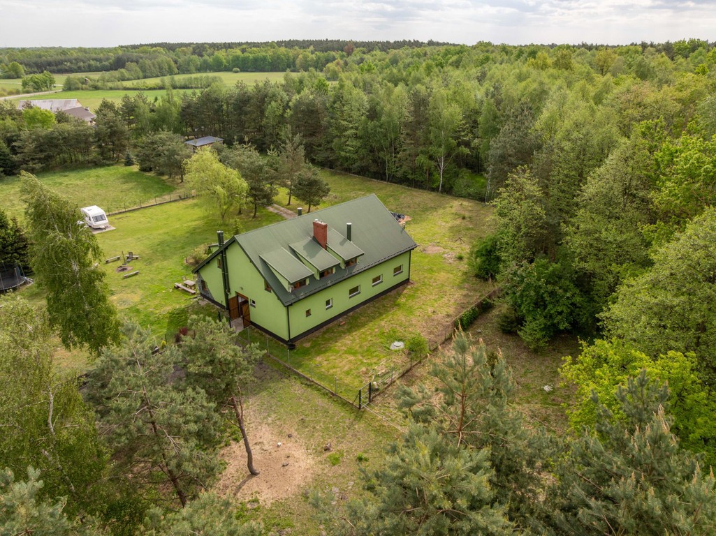 Stajnia z częścią mieszkalną 4,5 ha Własny las - View 3