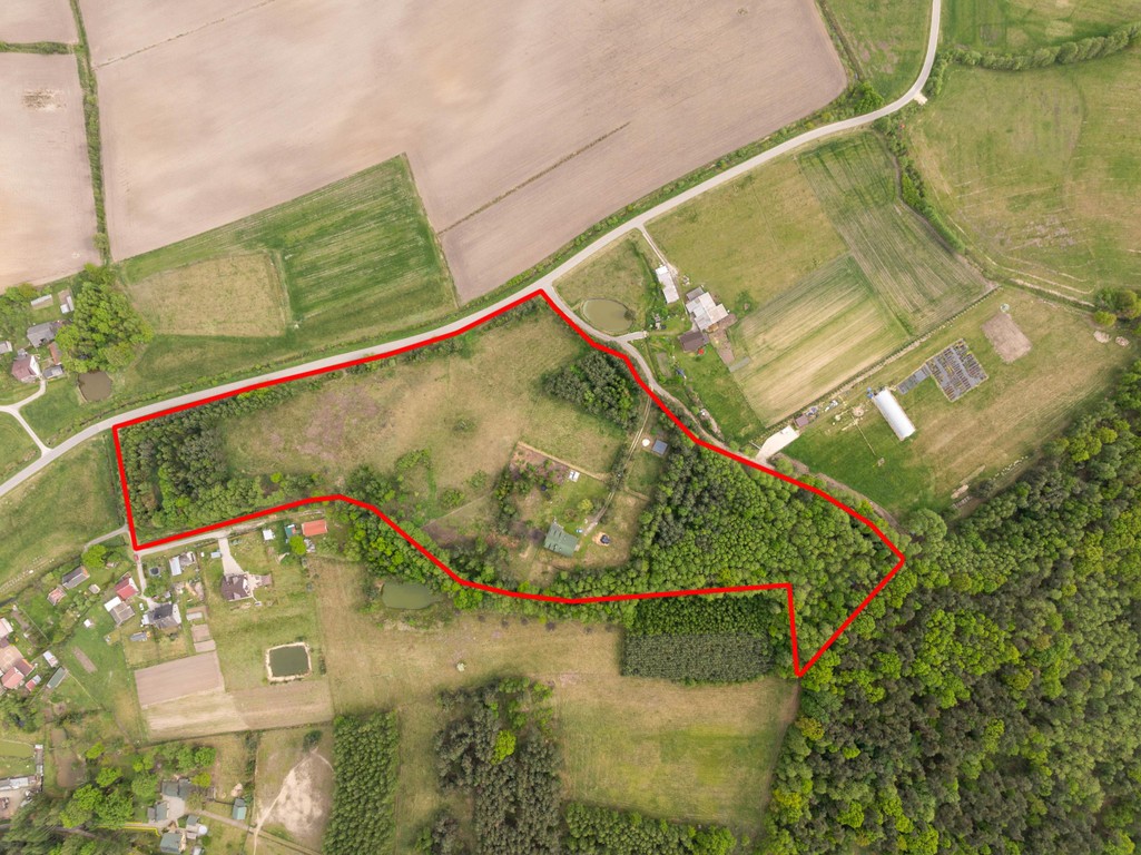 Stajnia z częścią mieszkalną 4,5 ha Własny las - View 4
