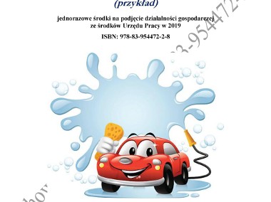 BIZNES PLAN detailingowe czyszczenie pojazdów 2019 (przykład)-1