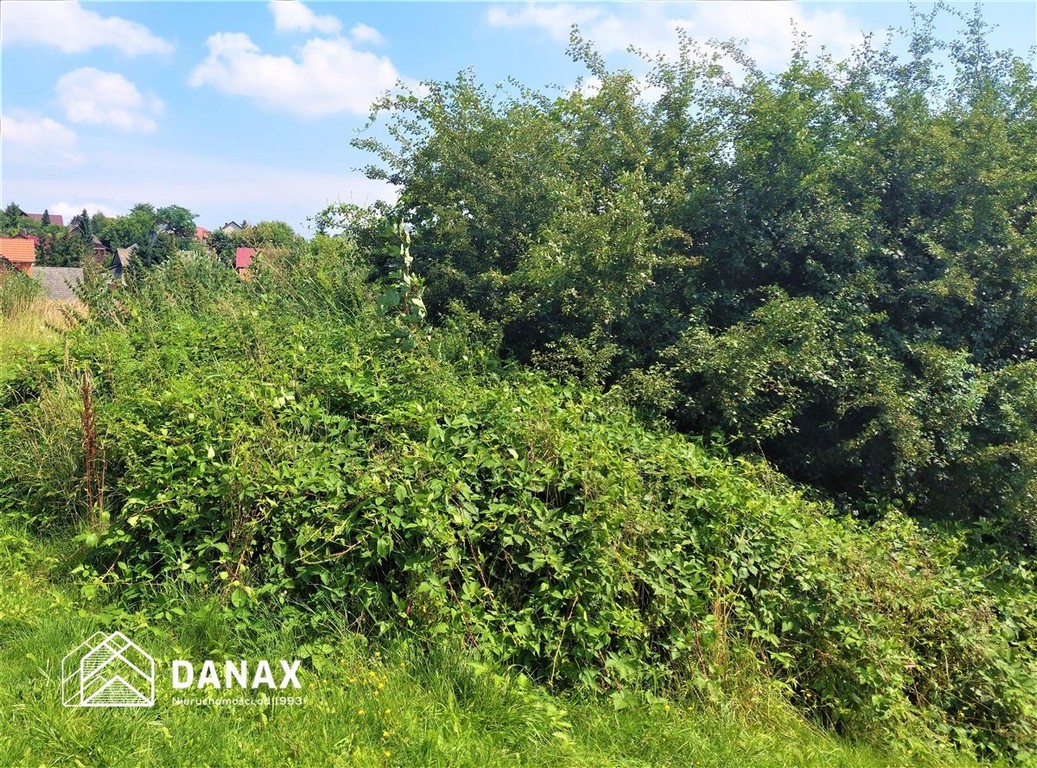Działka z potencjałem Mników 1,14 ha+19 a budowl. - Widok 2
