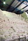 Ukraina.Produkcja cukru spozywczego.Melasa 350 zl,wyslodki 170 zl/tona