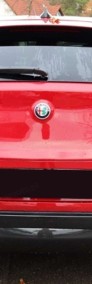 Alfa Romeo Stelvio 2.0 Turbo Intensa Q4 2.0 Turbo Intensa Q4 (280 KM)-3