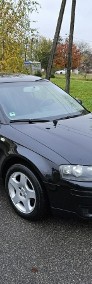 Audi A3 II (8P) Opłacony Zdrowy Zadbany Serwisowany MPI Klima Alu 2 kmpl kół-3