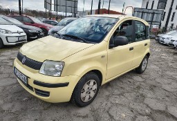Fiat Panda II 1.1 Salon Polska