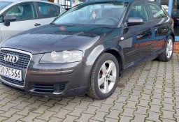 Audi A3 II (8P) 1,9 tdi