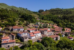 Dom Viana Do Castelo