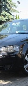 Audi A3 II (8P) Anglik 1.6 Benzyna Auto Punkt-3