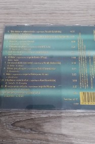 Płyta CD - Various Artists przeboje polskiej muzyki pop and rock vol.3-2